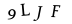 captcha-input