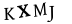 captcha-input