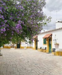 CASA VITÓRIA GUEST HOUSE