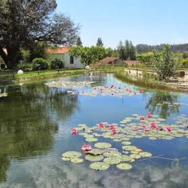 QUINTA DA FONTOURA, LDA.