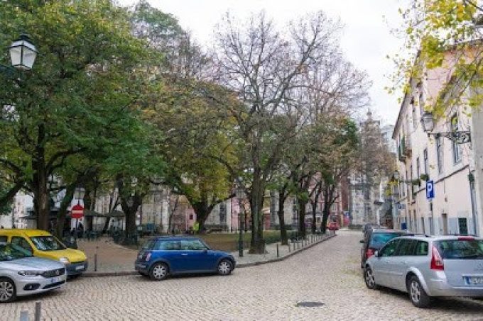 THE MULBERRY TREE LISBON