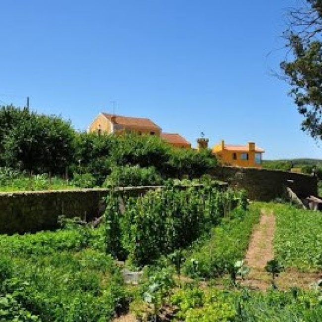 QUINTA DA FAIANCA