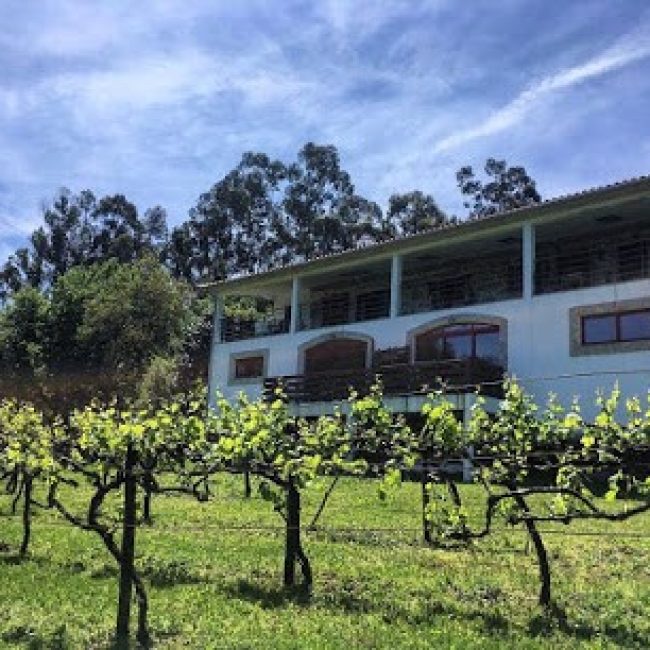 QUINTA DA QUINTÃ