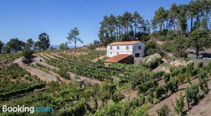 QUINTA DA ESTRADA DOURO VALLEY