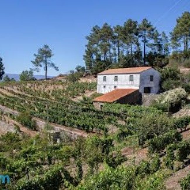 QUINTA DA ESTRADA DOURO VALLEY