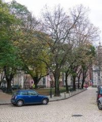 THE MULBERRY TREE LISBON