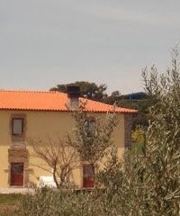 QUINTA DO SALGUEIRO