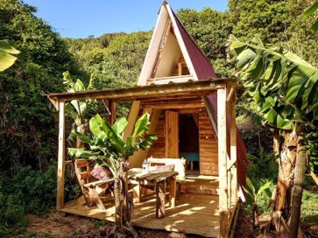 BANANA ECO CAMP