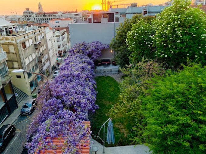 Urban Garden Porto Central Hostel